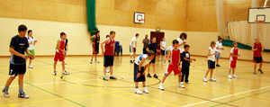 Basketball in South Wales